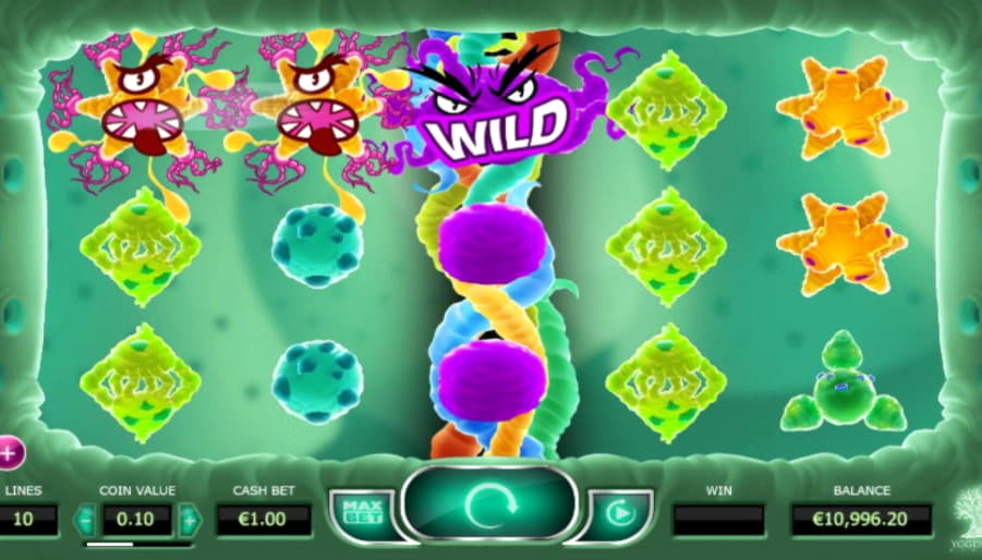 EURO 505 Mobile freeroll slot tournament at Buran Casino