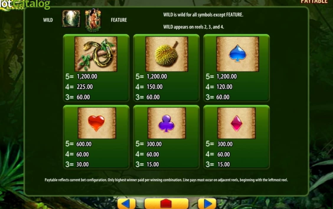 $1205 no deposit bonus at Betzest Casino