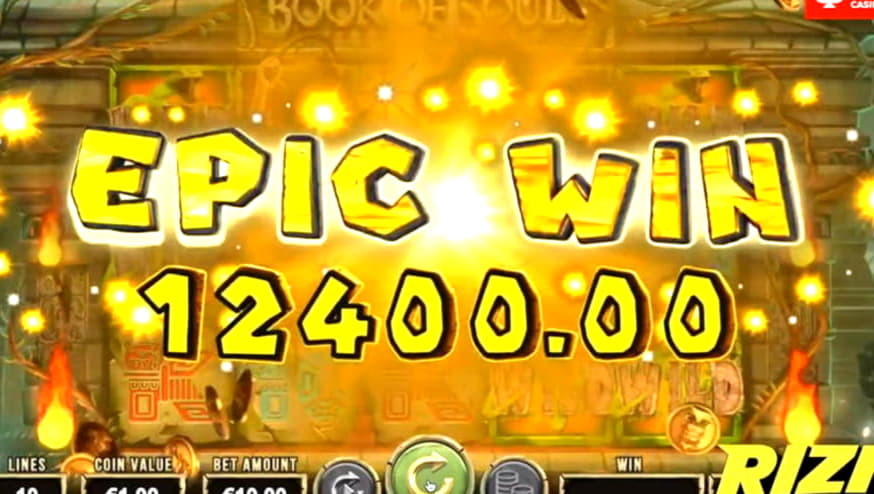 785% Match bonus at 7 Reels Casino