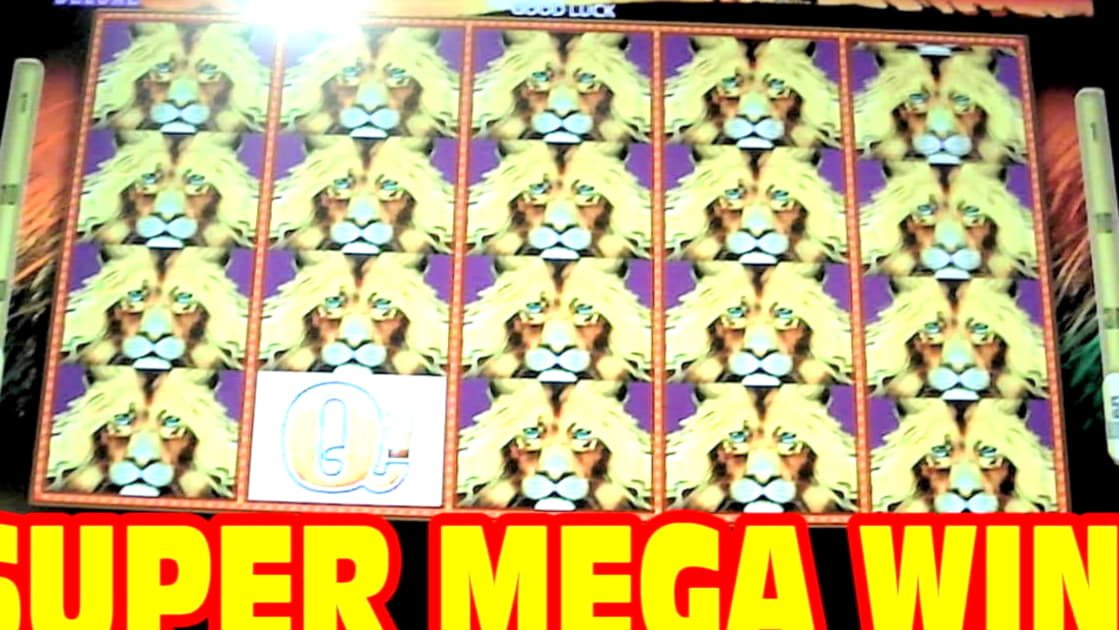65 Free Spins at Reload Bet Casino