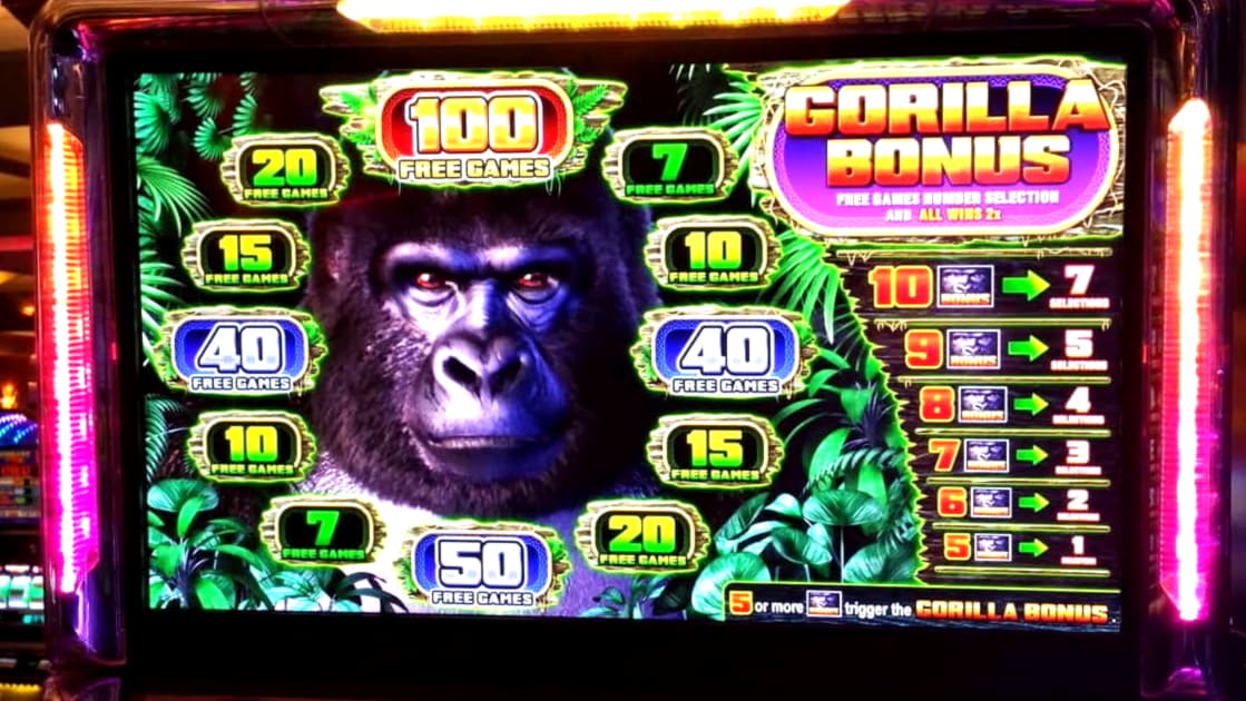 50 Free Spins right now at CasiPlay Casino