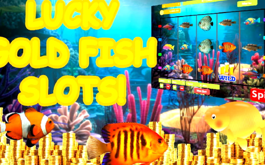 EUR 4980 NO DEPOSIT BONUS CASINO at Reload Bet Casino
