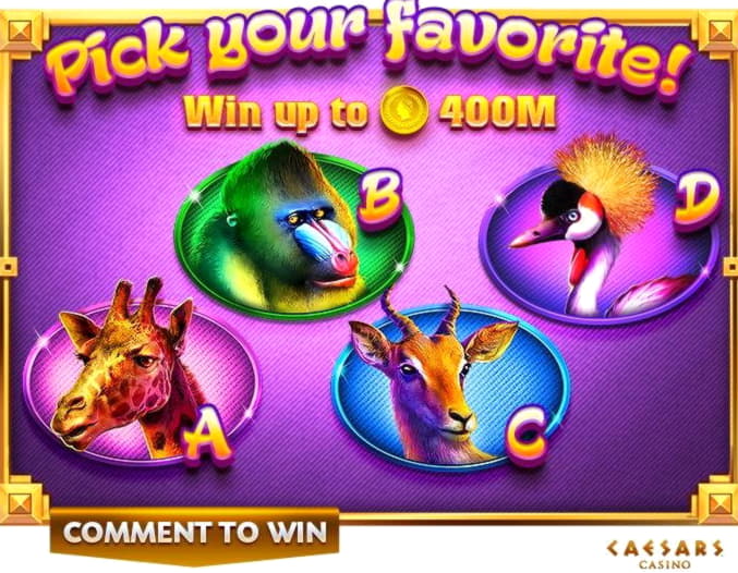 €470 Tournament at Bet Rebels Casino