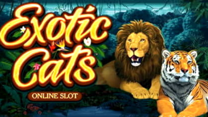 EUR 370 Free Chip at Platin Casino