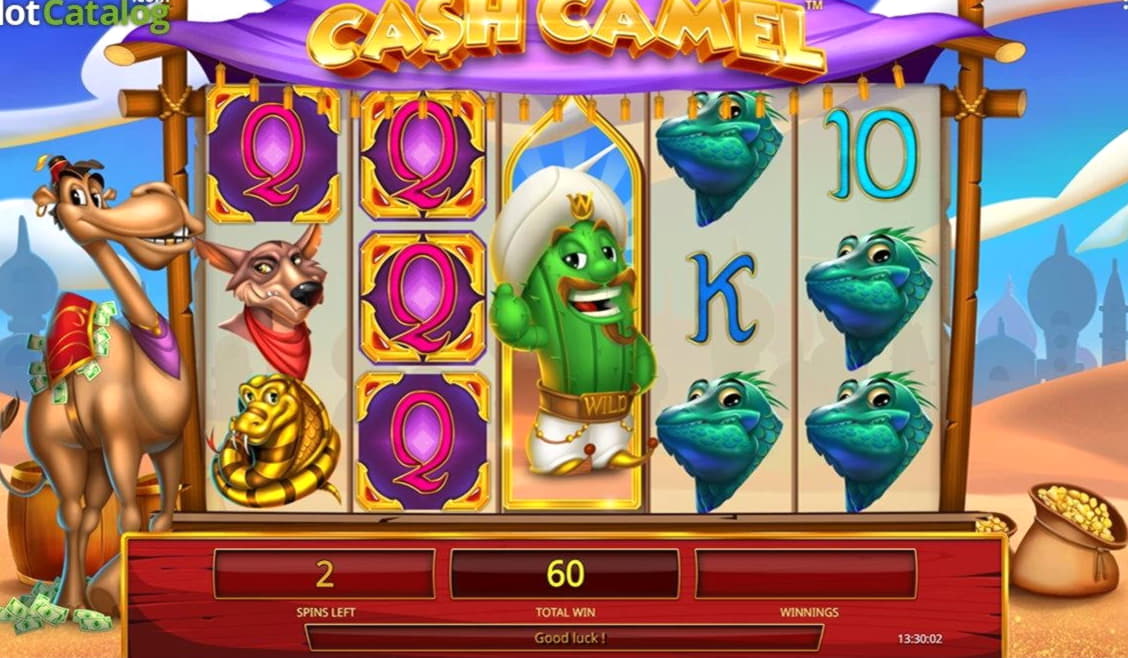 222 free spins no deposit at Rich Casino