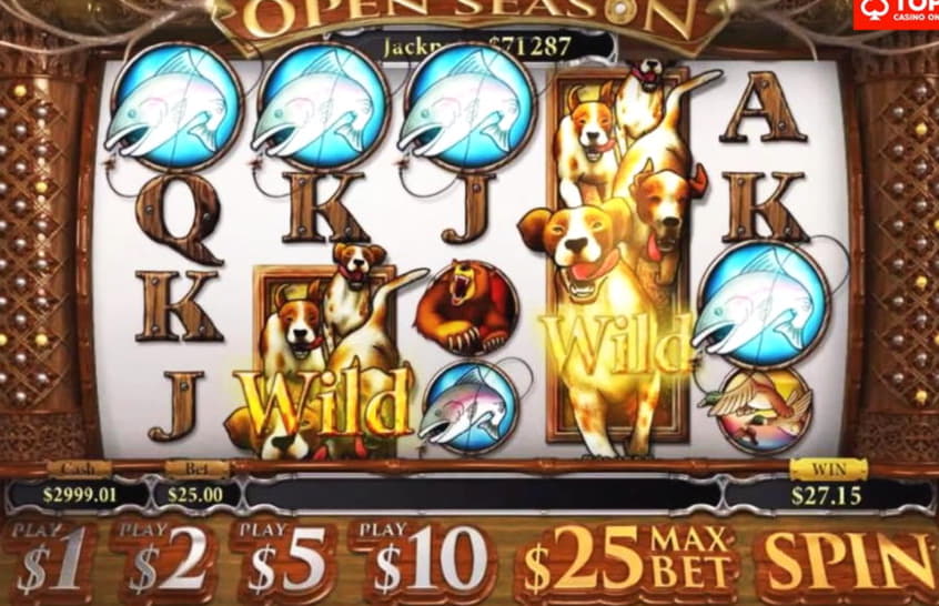 EUR 1111 Daily freeroll slot tournament at Zodiac Casino
