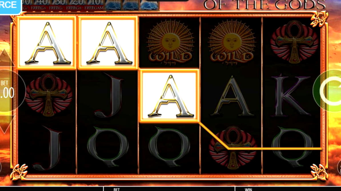 205 free spins no deposit casino at CasiPlay Casino