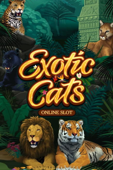 $1715 No deposit casino bonus at Vip Slots Casino