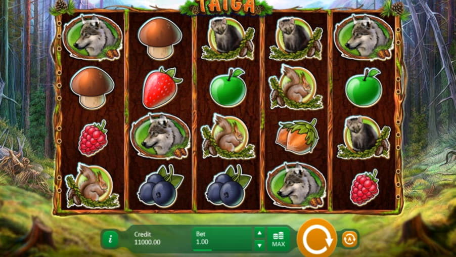 EUR 375 Mobile freeroll slot tournament at Boa Boa Casino