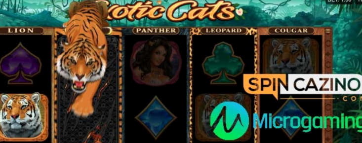 720% Match Bonus at Platinum Play Casino