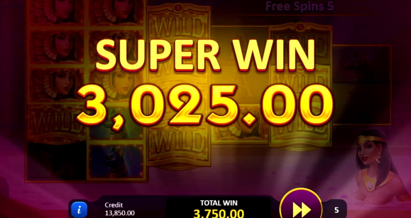 Eur 280 Daily freeroll slot tournament at Rich Casino