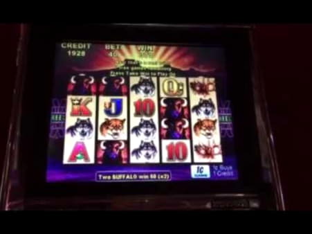 195 Free Spins at Reload Bet Casino