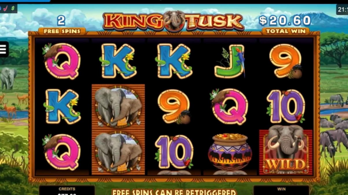 245 Free Spins right now at Leo Dubai Casino