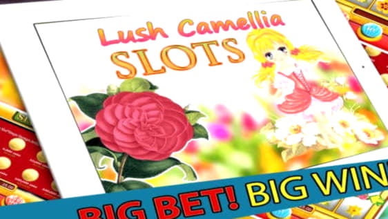 235 Free Spins right now at Platinum Play Casino