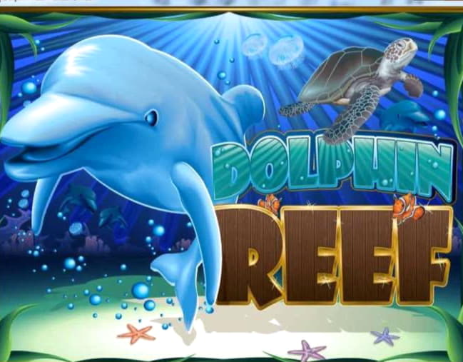 25 free spins at Leo Dubai Casino