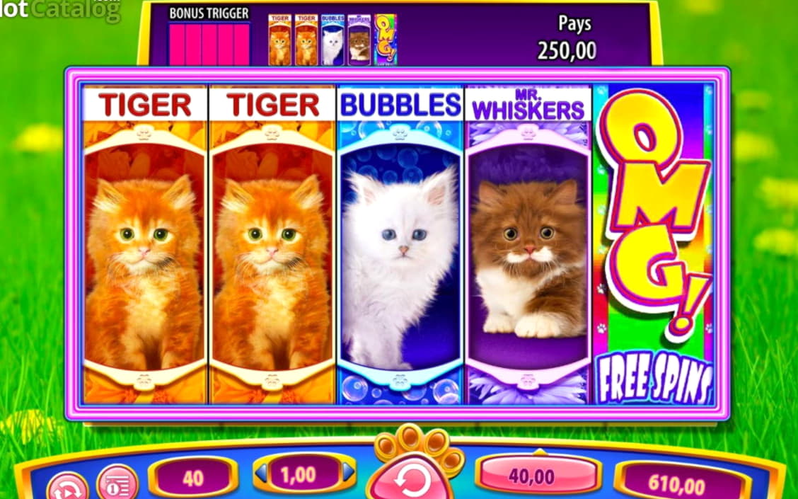 95 free spins no deposit at Reload Bet Casino