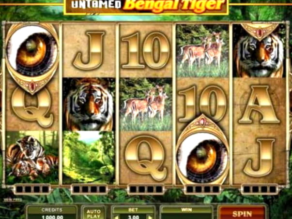 Eur 250 FREE Chip at Amazing Casino 