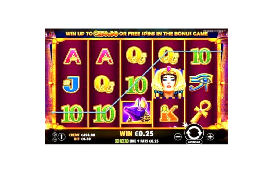 75 Loyalty Free Spins! at 7 Spins Casino
