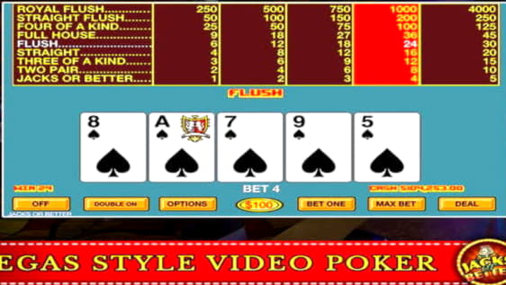 495% No Rules Bonus! at Platin Casino