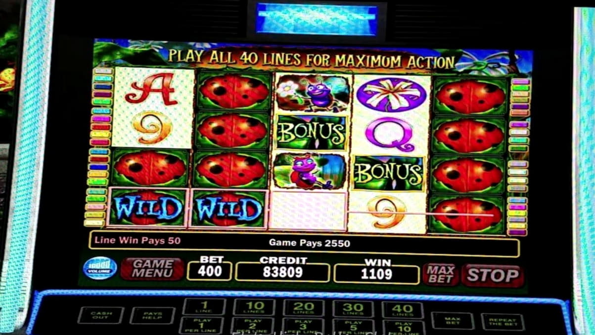 355% First Deposit Bonus at Leo Dubai Casino