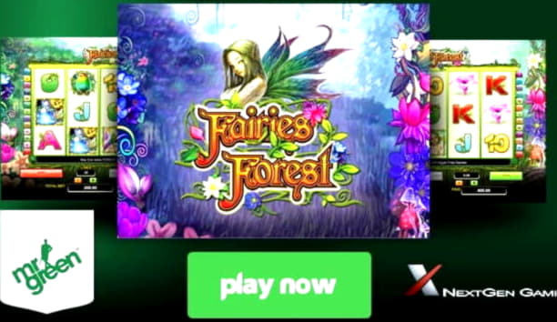 65% Match Bonus at Reload Bet Casino