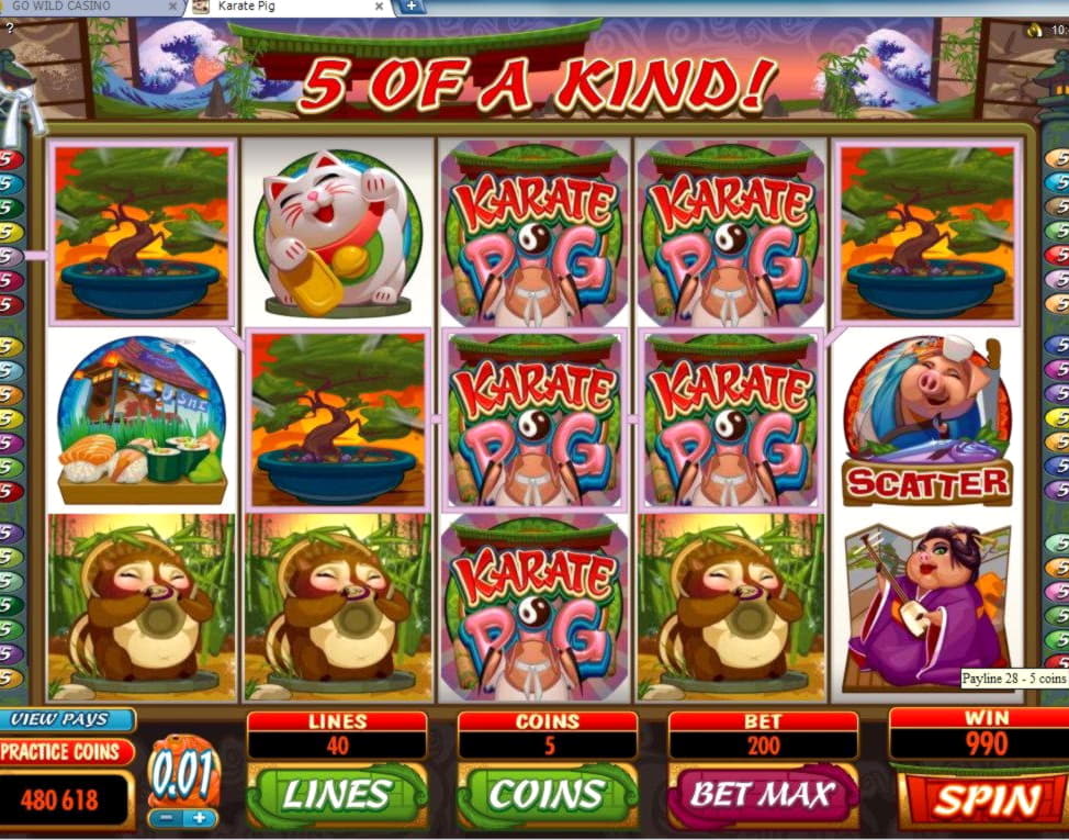 ﻿$535 Daily freeroll slot tournament at LSbet Casino