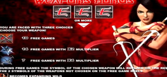 $515 NO DEPOSIT at Video Slots Casino