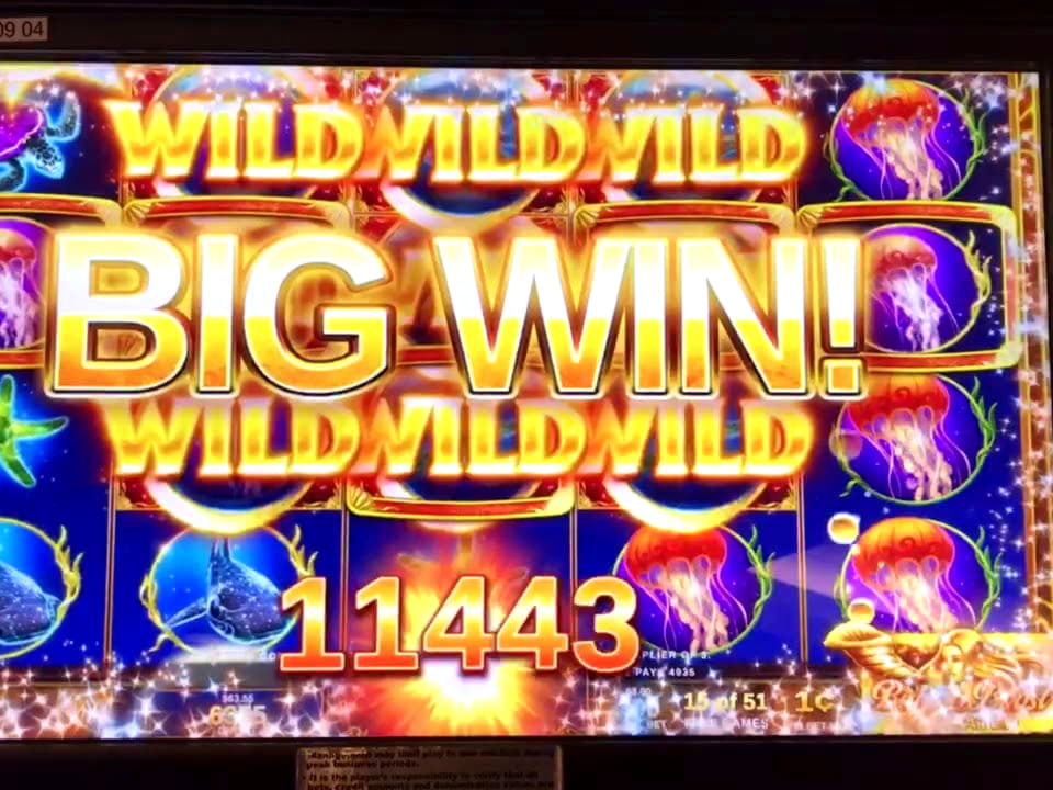 260 Free Spins right now at Betzest Casino