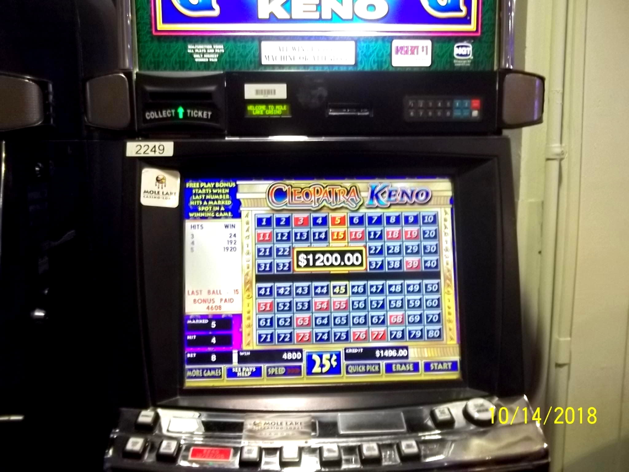 33 Loyal Free Spins! at Video Slots Casino