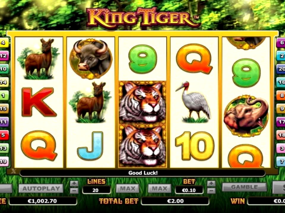 $530 Free Cash at Betzest Casino