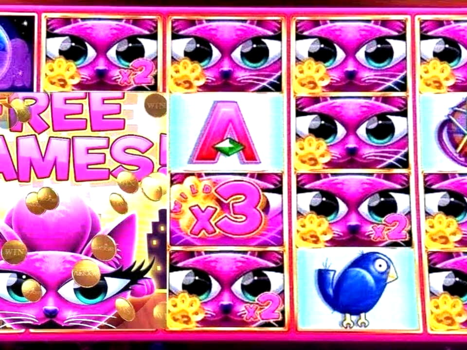 EURO 210 Free casino chip at CasiPlay Casino