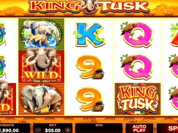Eur 645 Casino tournaments freeroll at Zodiac Casino