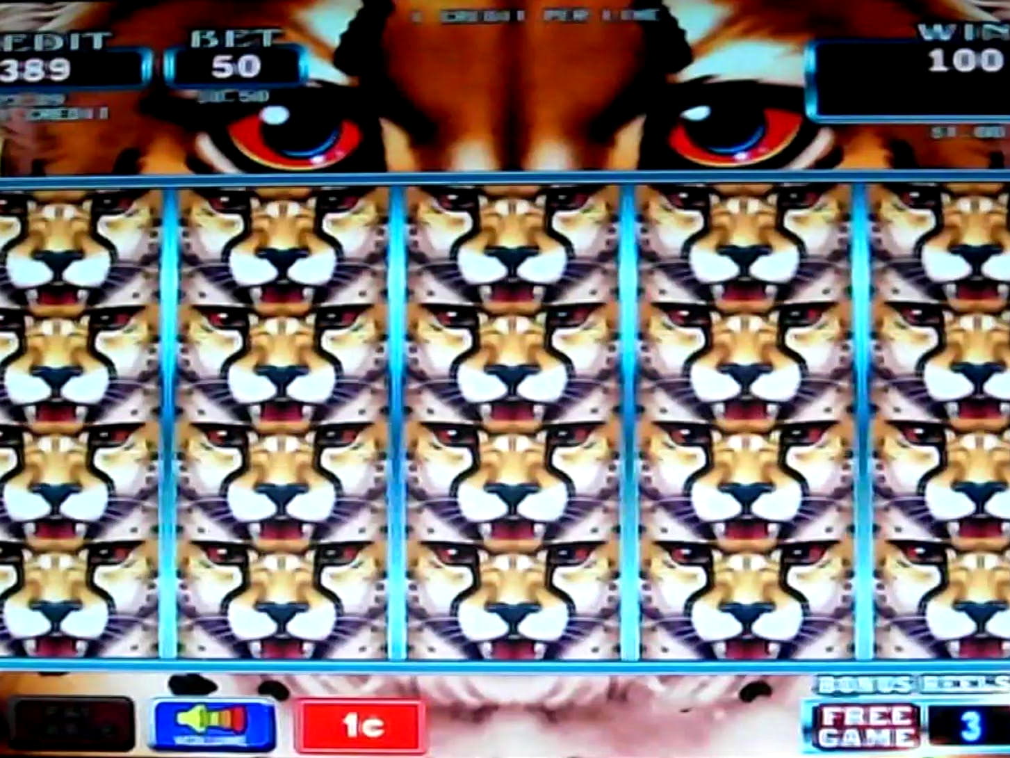 $695 Free Money at Rich Casino