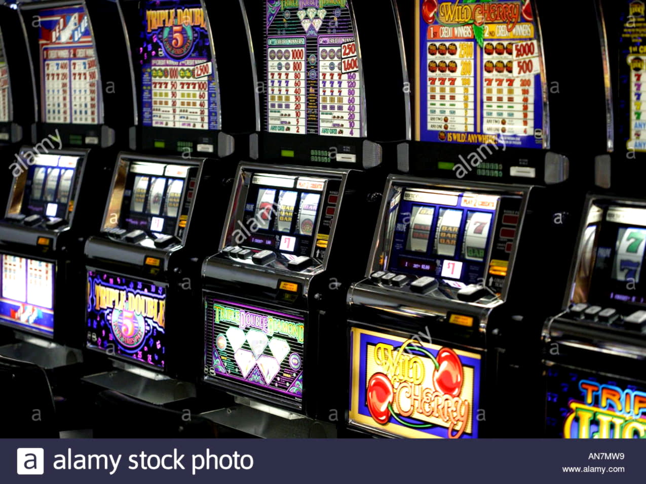 $330 Free Casino Ticket at Mongoose Casino