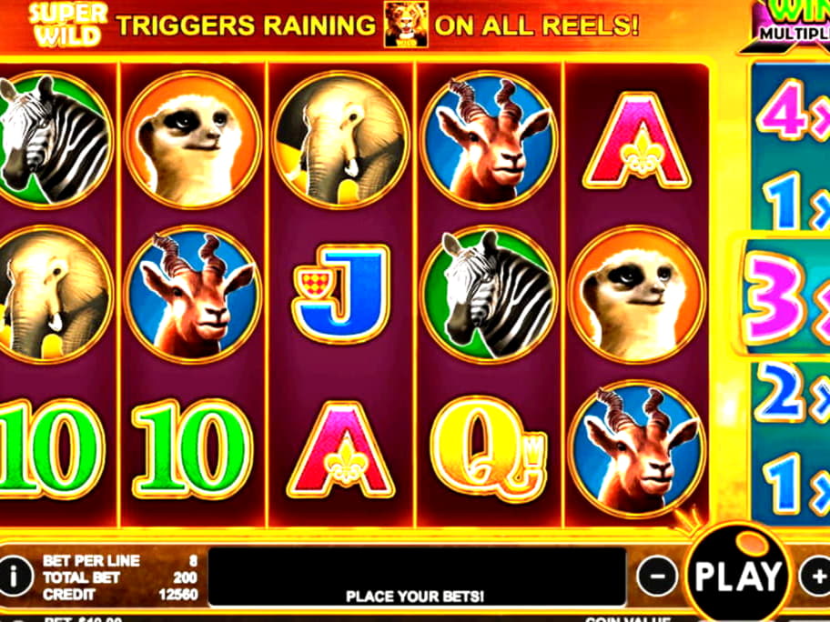 £4765 No deposit bonus casino at Reload Bet Casino