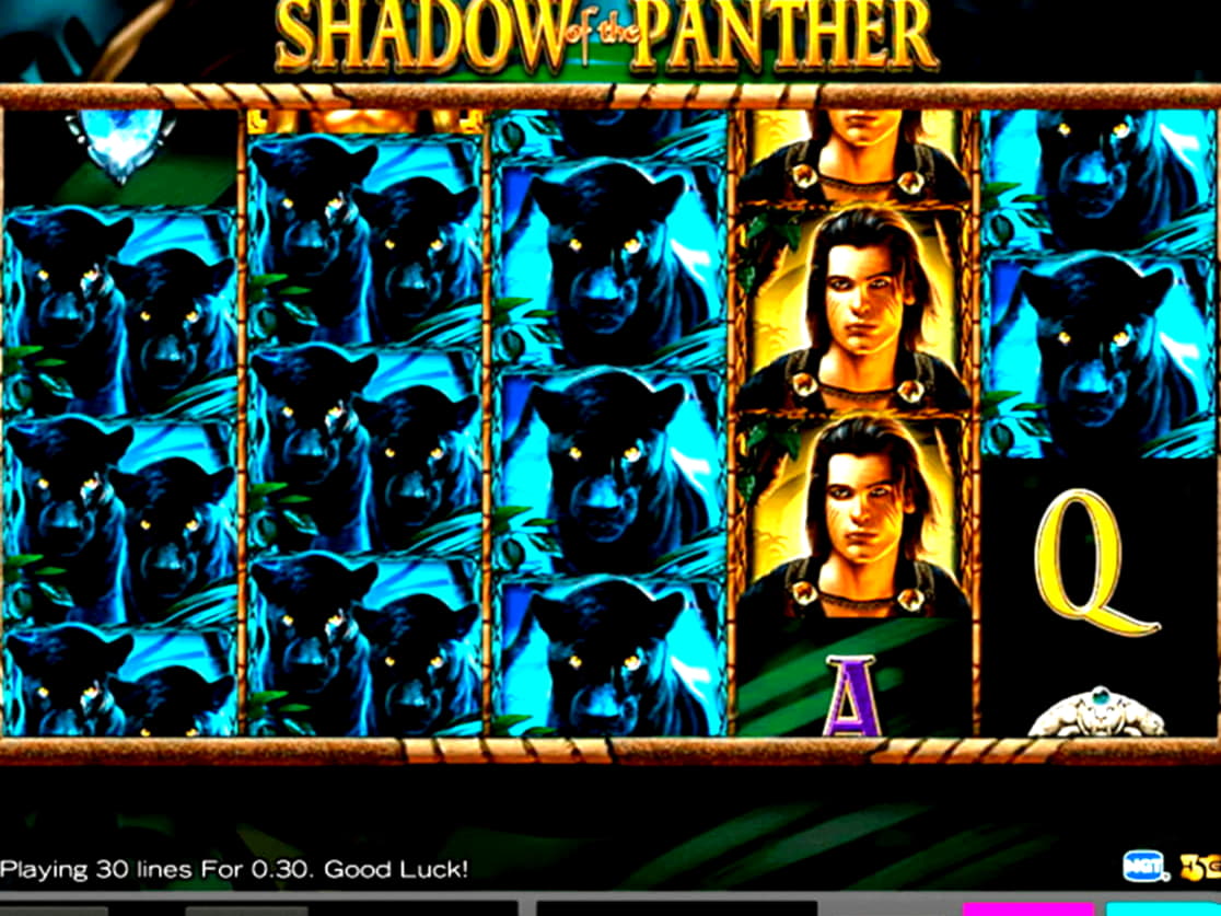 15 free spins casino at Platinum Play Casino