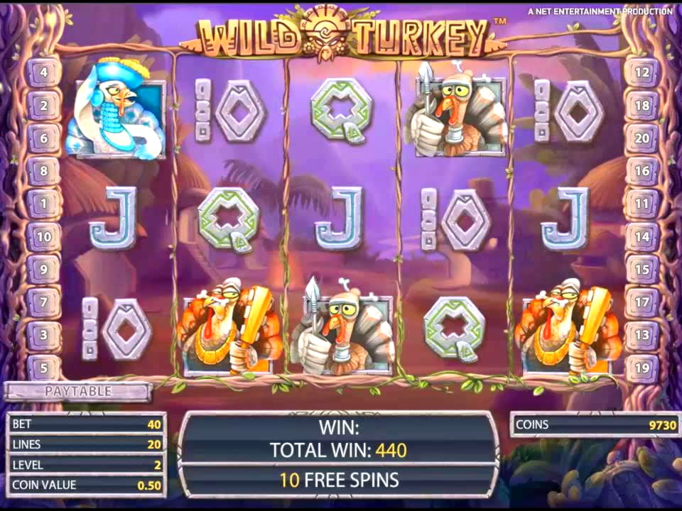 80 Free Spins Casino at CasiPlay Casino