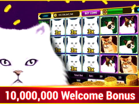 €595 free casino chip at CasiPlay Casino