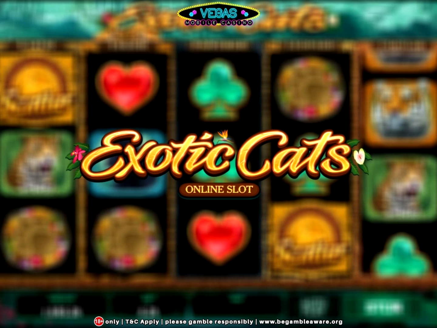 Eur 2650 No Deposit at Zodiac Casino