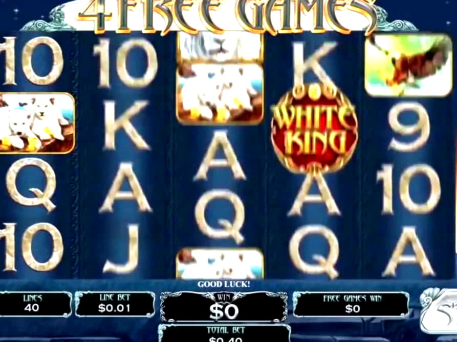 €145 Casino tournaments freeroll at Leo Dubai Casino
