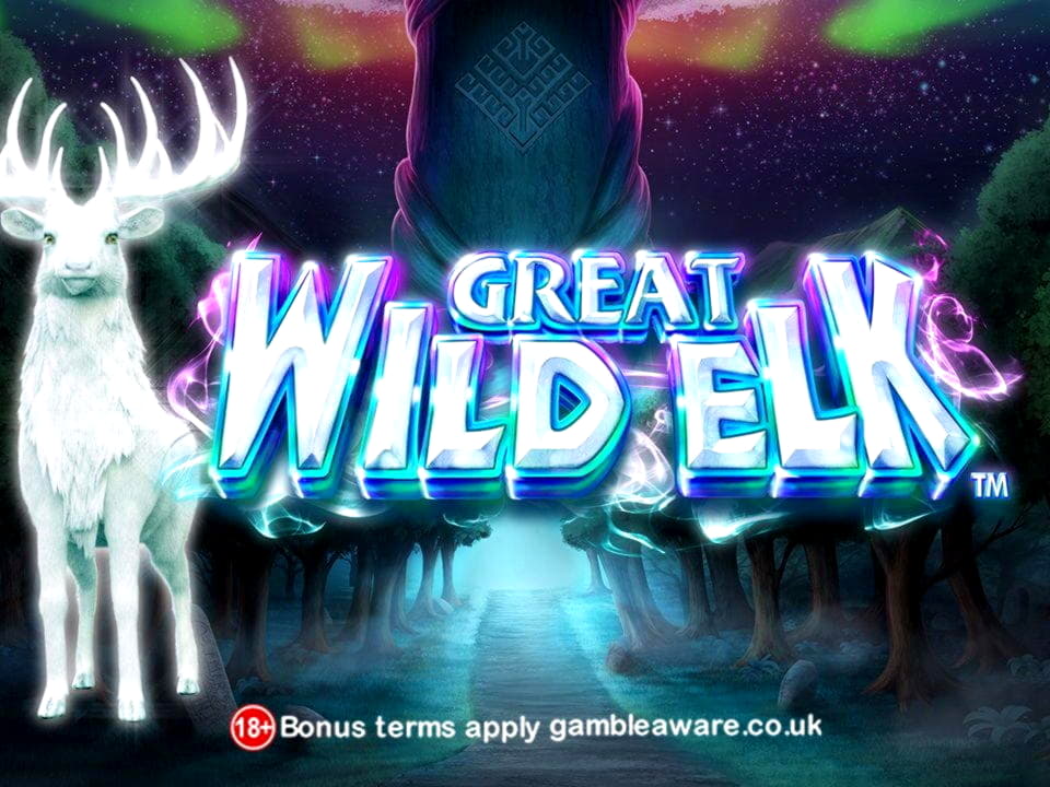 $3775 NO DEPOSIT at Leo Dubai Casino