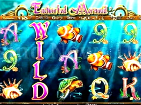 35 free spins at Rich Casino