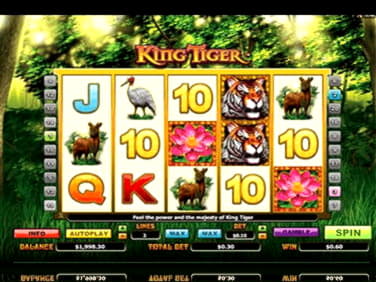EUR 505 FREE CHIP at Buran Casino