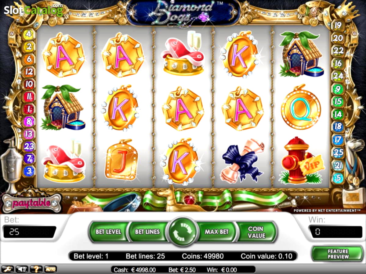 635% Signup casino bonus at 7 Reels Casino