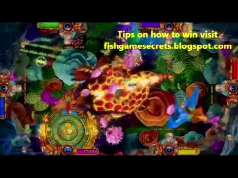 33 Free Spins right now at Leo Dubai Casino