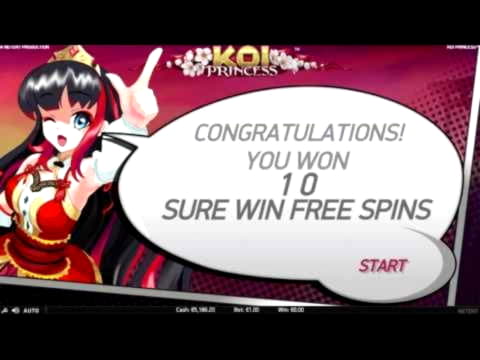 €55 Daily freeroll slot tournament at Betzest Casino