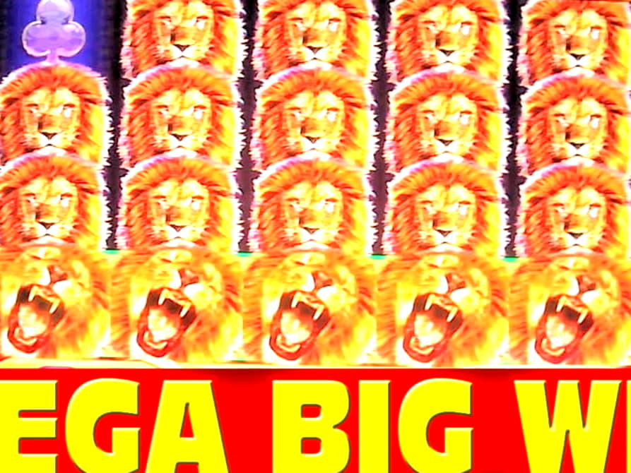 $780 Free Casino Tournament at Betzest Casino