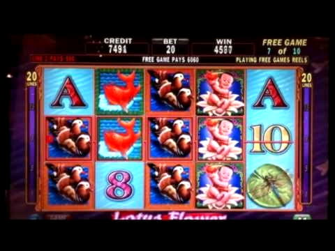 €4130 No Deposit Bonus at Reload Bet Casino