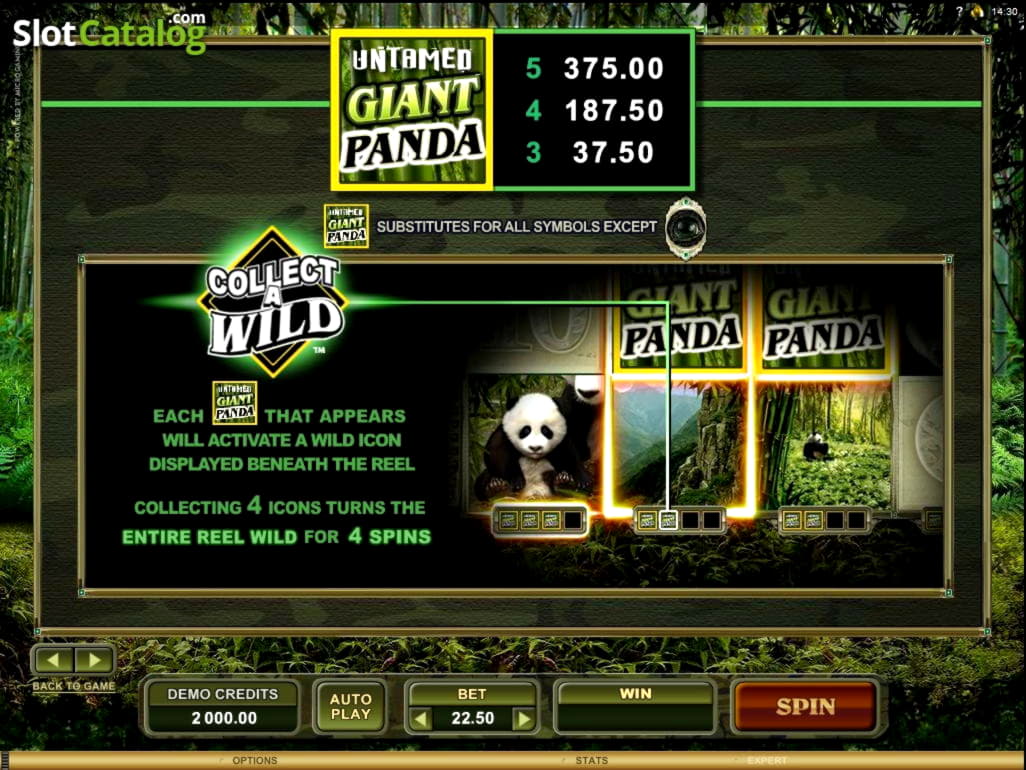 995% Welcome Bonus at Amazing Casino 