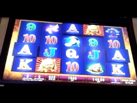 €535 Free Chip Casino at Betzest Casino